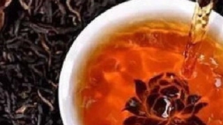 普洱茶２０年醗酵　